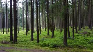 Mavic Pro, Black Forest Impression Koenigsfeld 4K