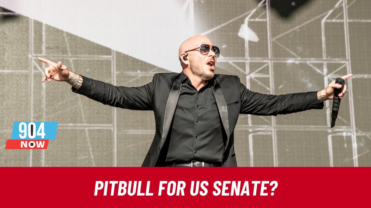 Internet Campaigns for Pitbull to Fill Fla Senate Seat After Rubio's ...