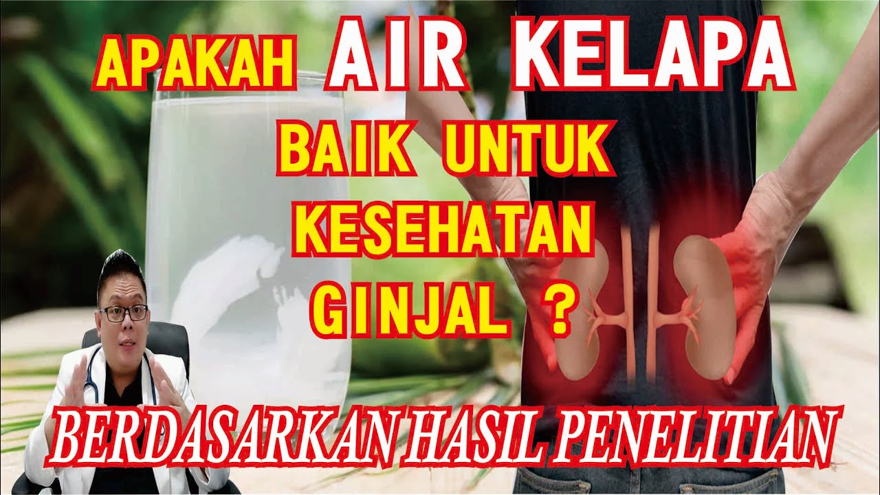 💡APAKAH AIR KELAPA BAIK UNTUK KESEHATAN GINJAL ??? BERDASARKAN HASIL PENELITIAN