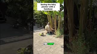 Saving the Fairy Planter #shorts