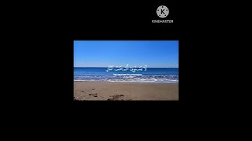 ولا تكونوا كالذين نسوا الله فأنساهم أنفسهم _ القارئ ياسر الدوسري سورة الحشر