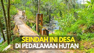 Suasana Pedesaan Terpencil Di Pedalaman Hutan Purbalingga Tenang Dan Damai Jauh Dari Keramaian