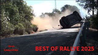 Lo Mejor Del Rallye 2025 Accidentes Y Errores