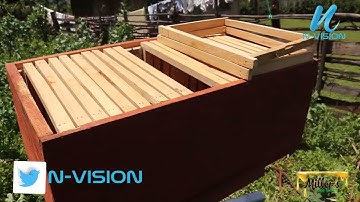 Mazing way to trap bees | Bait hive guide