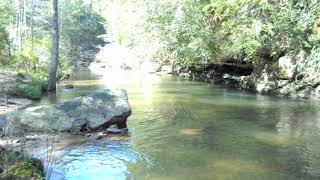 DSCN0128 Clear Creek Beach 042419