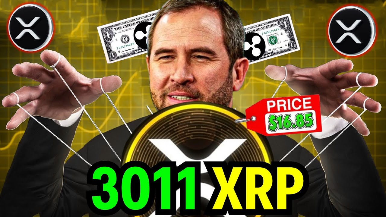 YOU ARE IN THE TOP 10 IF YOU OWN 3000 XRP RICH LIST OF XRP YouTube you-are-in-the-top-10-if-you-own-3000-xrp-rich-list-of-xrp-youtube