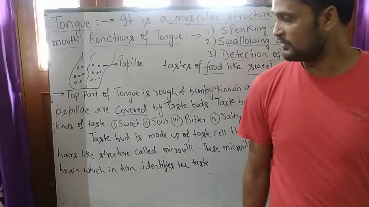 Science nutrition in animals - YouTube