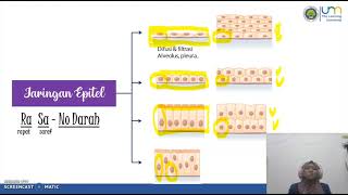 Pembahasan Jaringan Epitel | Tema: 'Jaringan Hewan' | Biologi XI MIPA GASAL