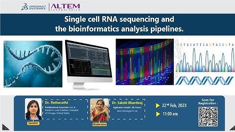 Single cell RNA sequencing and the bioinformatics analysis pipelines.