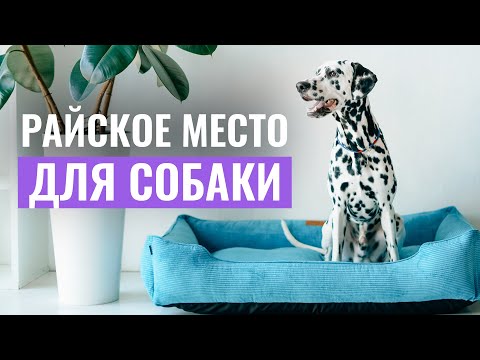 ЛЕЖАНКА, о которой