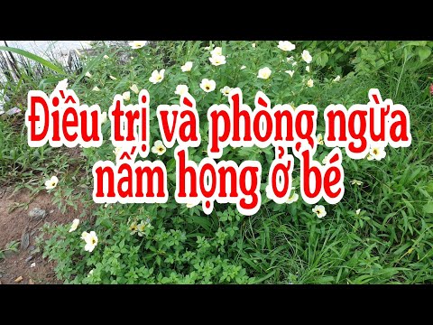 cách vệ sinh răng miệng cho bé tại Kemtrinam.vn