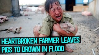 Heartbroken Chinese Farmers Forced To Leave Their Pigs To Drown In Flood