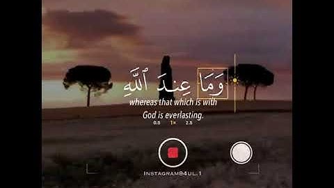 آيات القرآن الكريم(3)