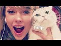 Taylor Swift being bullied by her cats for 2 minutes straight