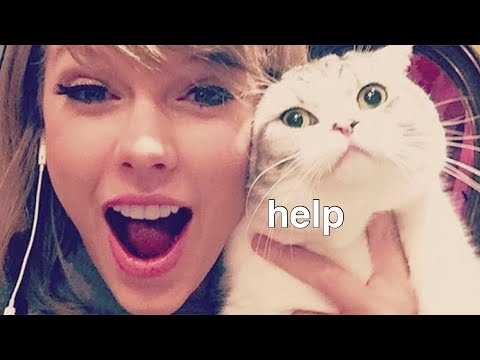 Video: Pet Scoop: Vojak bitky o psa Jeho ex predané, Taylor Swift dostane nové mačiatko