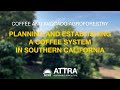 Planning and Establishing a Coffee System in Southern California