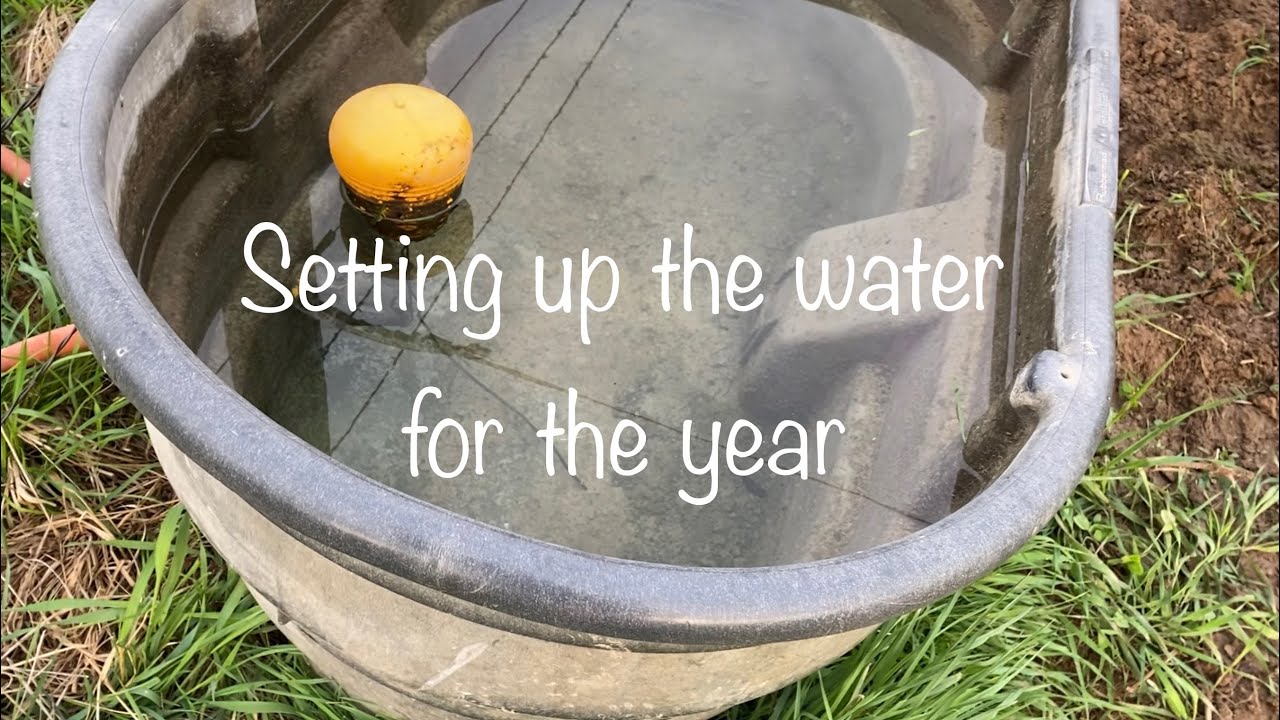 Setting up the cattle water tank for the year