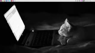 Celebrity Wordpress Multi Themes Arbitrary File Download Vulnerability | xBADGIRL21 Net Worth