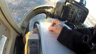 Yukon Moose Survey