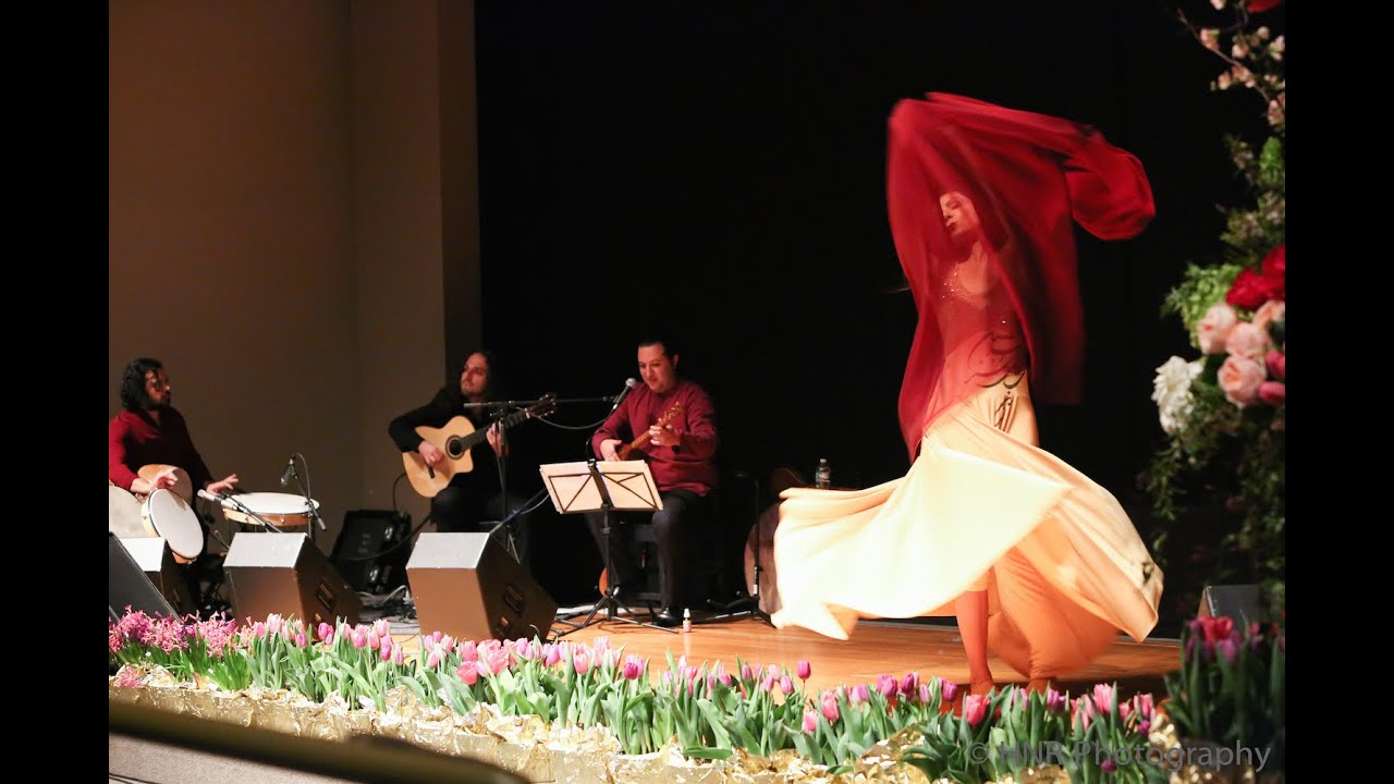 Vivid Soul, live dance and music performance - YouTube