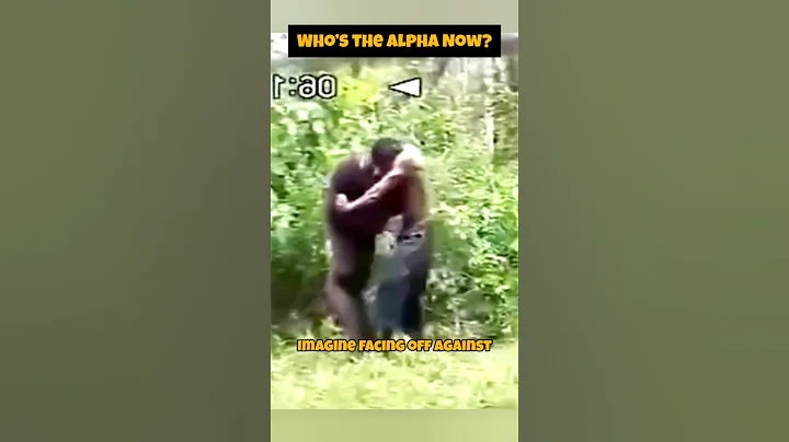 Man vs. Chimpanzee: The Ultimate Battle of Strength!