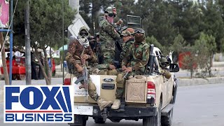 It's been 1 year since the Taliban retook Afghanistan screenshot 1