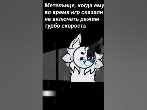 типичный день котенка в КПВ. кетвар, Клан падающей воды. Кетвар мемы ...