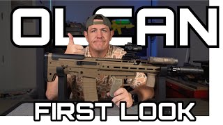 PSA OLCAN: Range Test \u0026 Review (300 Blackout Bullpup)