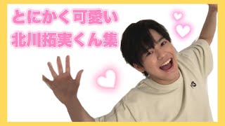 キタガワ の競走馬情報 Pog Info