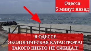 Одесса 24 декабря 2025. В ОДЕССЕ ЭКОЛОГИЧЕСКАЯ КАТАСТРОФА! ТАКОГО НИКТО НЕ ОЖИДАЛ!