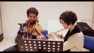 Irish music violin & flute -