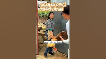 anh cần thủ xin gà của chị gái xinh đẹp để là mồi câu cá nhưng chị không cho và cái kết  #fishing