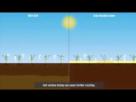 Nebraska Crop Production and Pest Management Information