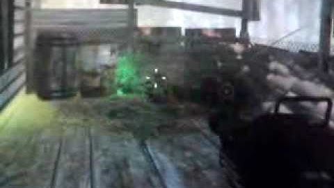 Cod5 WaW Shi No Numa Gun Glitch