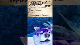 Direwolfs Are More Useful Than You Think 🐺