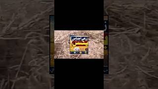 Tamam zarai ijnas k rates April 2026#