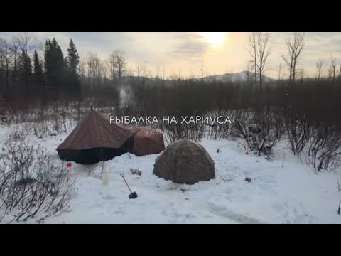 Видео: Завины моторыг хэрхэн сонгох