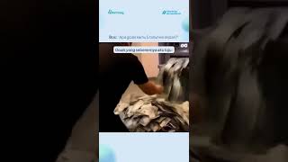 bingung mesti jawab jujur apa gak 😣