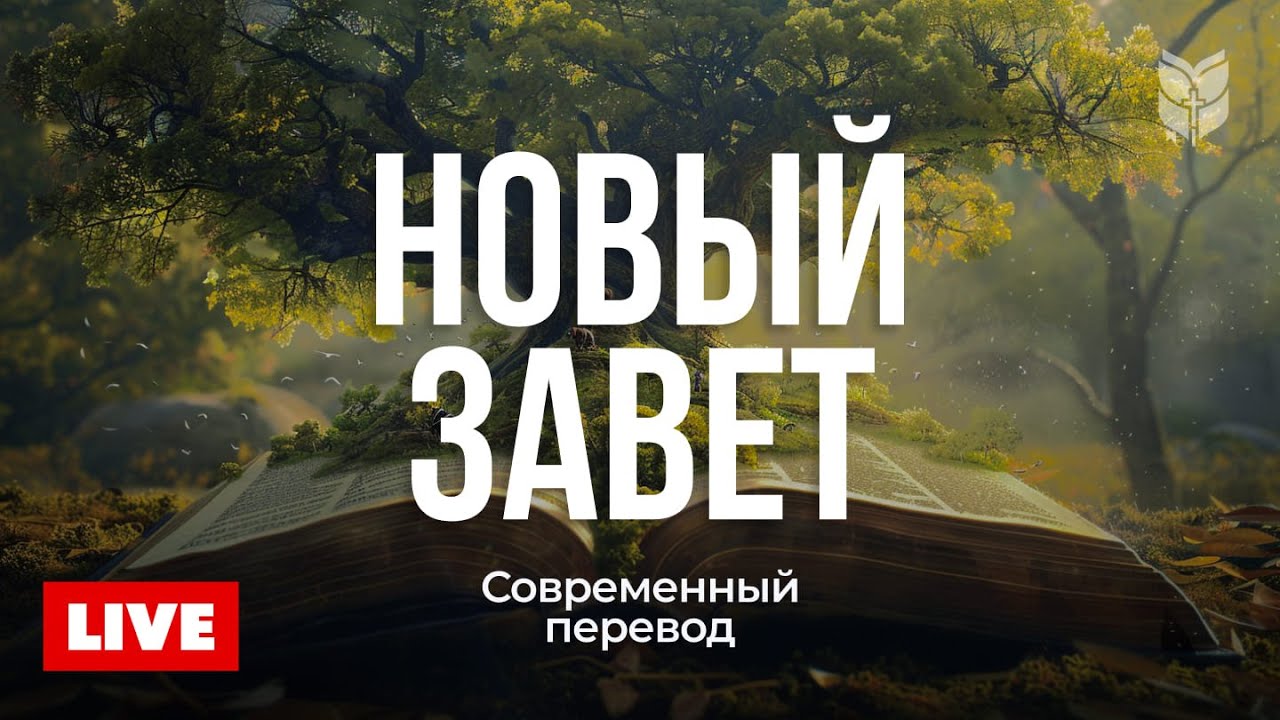 Новый Завет. Библия в современном переводе | 🔴 Live 24/7