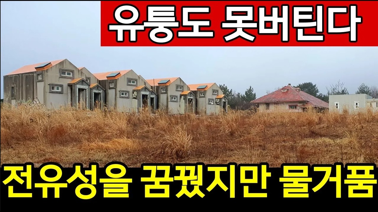 배우 유퉁도 전재산 쏟아붓고 제주도를 떠났다 | 안타까운 사연