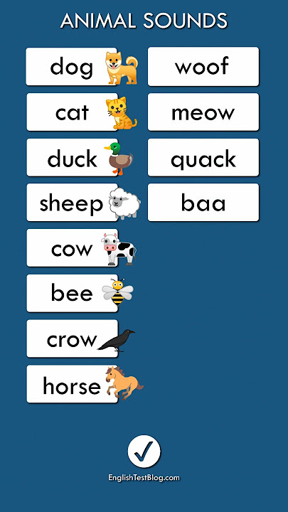 Animal Sounds In English