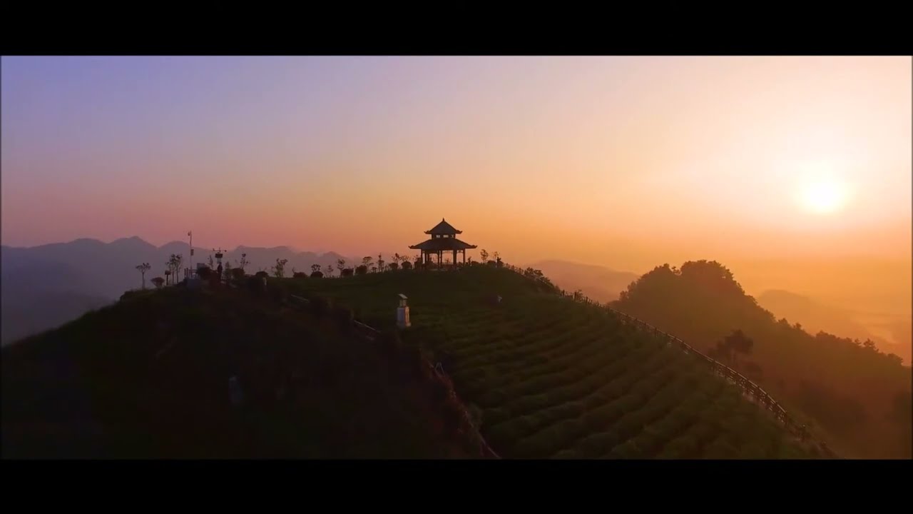 貴茶- 高原茶園篇