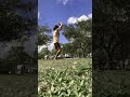 Backflip #tricking #backflip #parkour #acrobatics