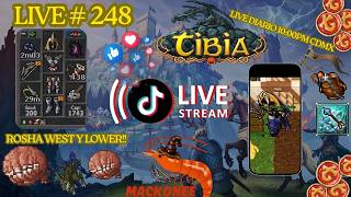 HUNT PRO RP!! | ROSAMUUL WEST! | PROFIT! | RP 555+ | Live #248 #tibia #cipsoft #mmorpg #tbiaglobal