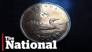 The loonie turns 30
