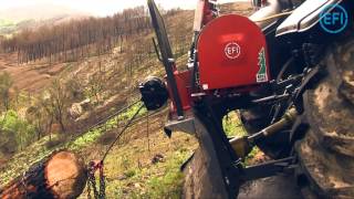 Efi Guincho Florestal