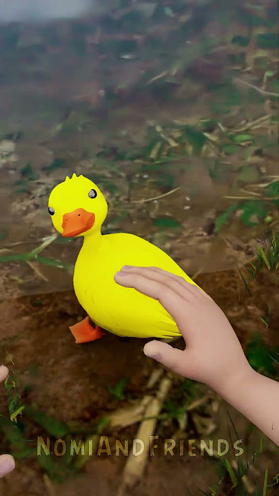 Pet Duck Adam Going for His First Swim🦆🌊 #funny