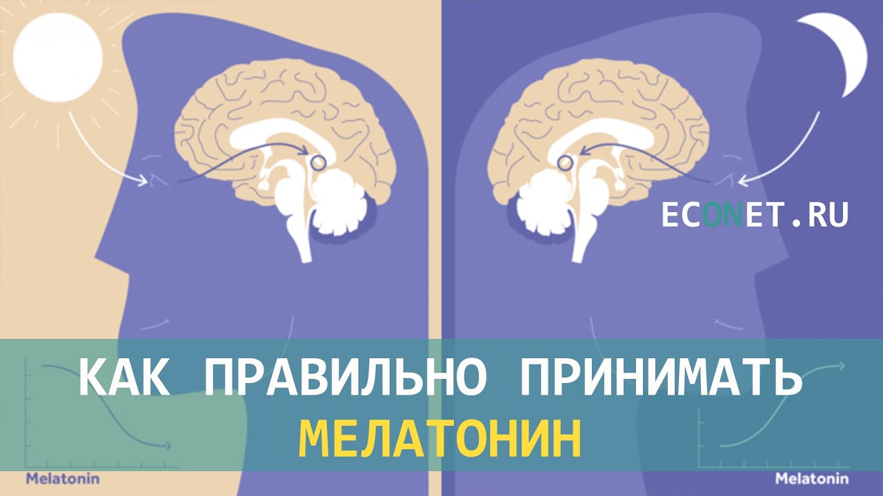 Какой Мелатонин Лучше Купить Форум
