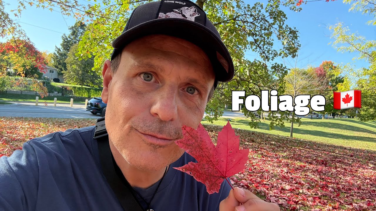Lo spettacolo del foliage e la mia esperienza canadese.