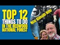 TOP 12 Must-Do Adventures in the Redwood Forests Near Klamath & Crescent City